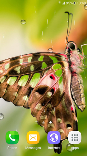 Android Hintergrundbilder Makro Schmetterlinge  kostenlos auf den Desktop herunterladen. 