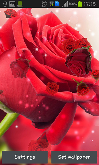 Download Live Wallpaper Rote Rose für Android A.n.d.r.o.i.d. .5...0. .a.n.d. .m.o.r.e kostenlos.