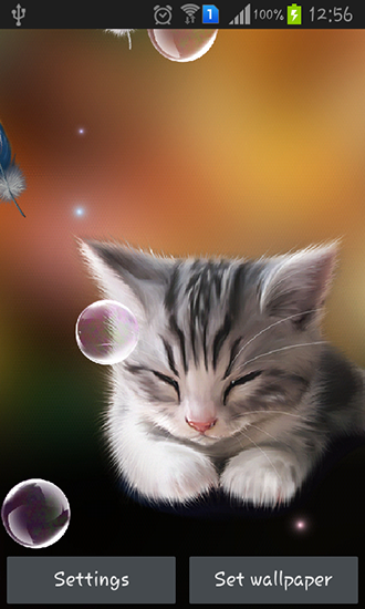 Download Live Wallpaper Müdes Kätzchen für Android 4.4.2 kostenlos.