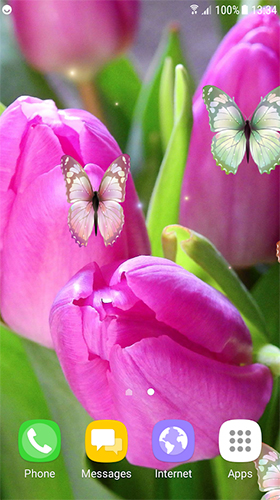 Android Hintergrundbilder Tulpen  kostenlos auf den Desktop herunterladen. 