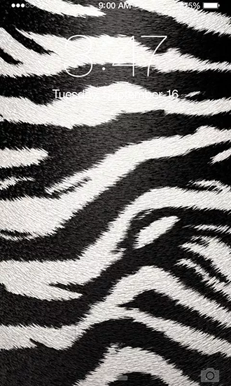 Kostenlos Live Wallpaper Zebra für Android Smartphones und Tablets downloaden.