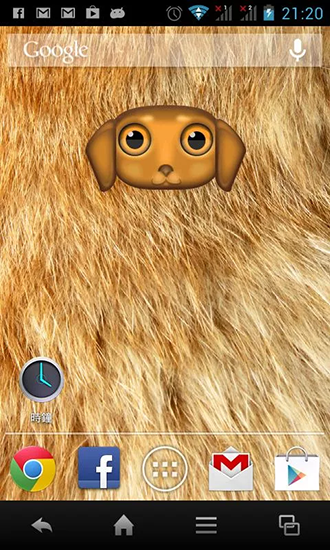 Download Live Wallpaper Zoo: Hund für Android 9.3.1 kostenlos.