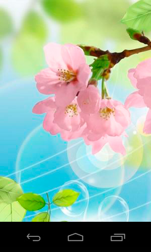 Android Hintergrundbilder 3D Zauberhafte Sakura kostenlos auf den Desktop herunterladen. 
