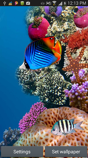 Android Hintergrundbilder Aquarium kostenlos auf den Desktop herunterladen. 