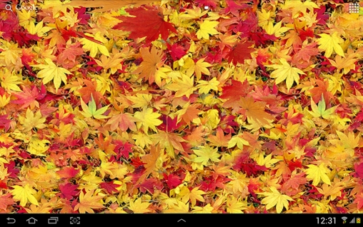 Android Hintergrundbilder Herbstblätter 3D kostenlos auf den Desktop herunterladen. 