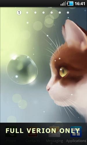 Android Hintergrundbilder Neugierige Katze kostenlos auf den Desktop herunterladen. 