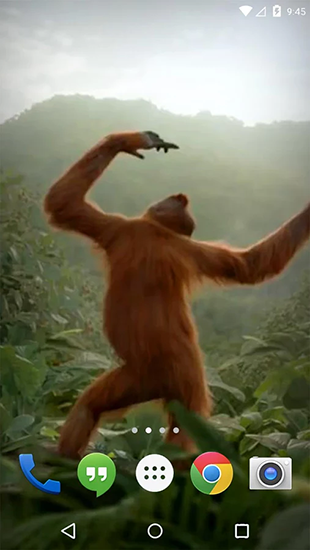 Android Hintergrundbilder Tanzender Affe kostenlos auf den Desktop herunterladen. 