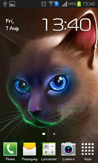 Android Hintergrundbilder Ägyptische Katze kostenlos auf den Desktop herunterladen. 