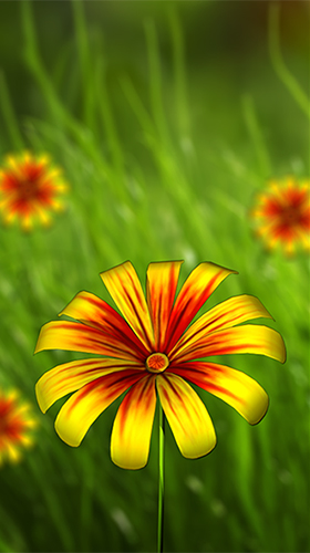 Bildschirm screenshot Blume 360 3D  für Handys und Tablets.