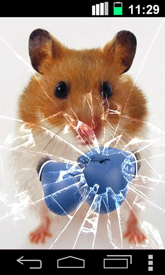 Android Hintergrundbilder Lustiger Hamster: Zersplitterter Bildschirm kostenlos auf den Desktop herunterladen. 