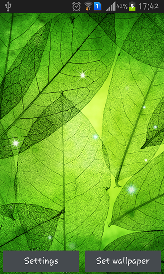Android Hintergrundbilder Grüne Blätter kostenlos auf den Desktop herunterladen. 