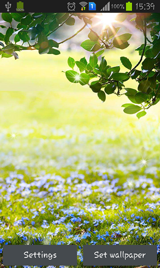 Android Hintergrundbilder Grüner Frühling kostenlos auf den Desktop herunterladen. 