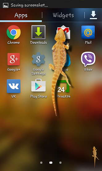 Android Hintergrundbilder Eidechse im Telefon kostenlos auf den Desktop herunterladen. 