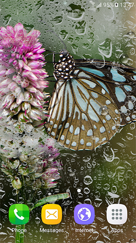 Bildschirm screenshot Makro Schmetterlinge  für Handys und Tablets.