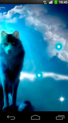 Android Hintergrundbilder Wölfe bei Nacht kostenlos auf den Desktop herunterladen. 