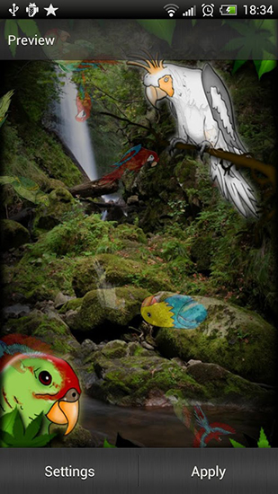 Android Hintergrundbilder Papagai kostenlos auf den Desktop herunterladen. 