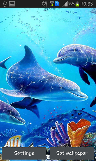 Android Hintergrundbilder Delphin im Meer kostenlos auf den Desktop herunterladen. 