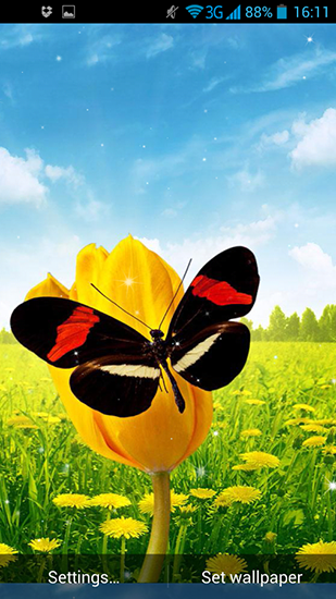 Android Hintergrundbilder Schmetterlinge im Frühling kostenlos auf den Desktop herunterladen. 