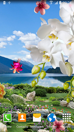 Android Hintergrundbilder Frühlingsgarten kostenlos auf den Desktop herunterladen. 