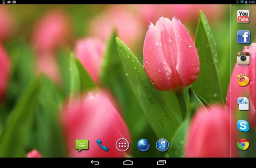Android Hintergrundbilder Frühlingsregen kostenlos auf den Desktop herunterladen. 