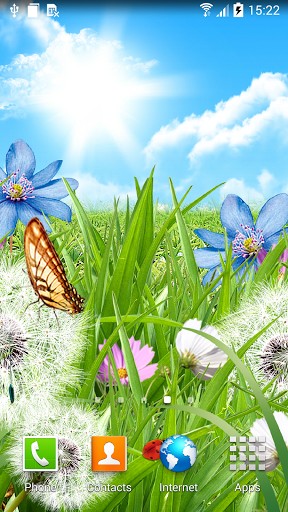 Android Hintergrundbilder Sommerblumen kostenlos auf den Desktop herunterladen. 