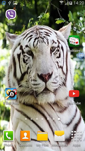 Android Hintergrundbilder Tiger: Schüttel und verändere kostenlos auf den Desktop herunterladen. 
