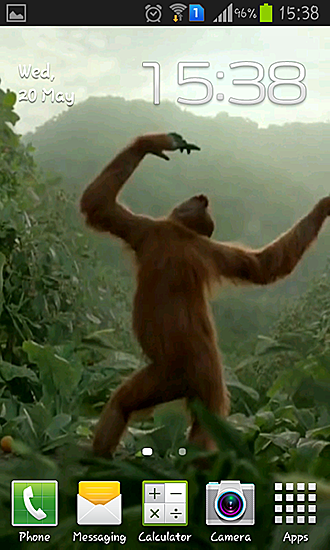 Android Hintergrundbilder Wilder Tanz des verrückten Affen kostenlos auf den Desktop herunterladen. 