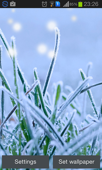Android Hintergrundbilder Wintergras kostenlos auf den Desktop herunterladen. 