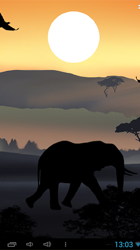 Afrikanischer Sonnenuntergang 
