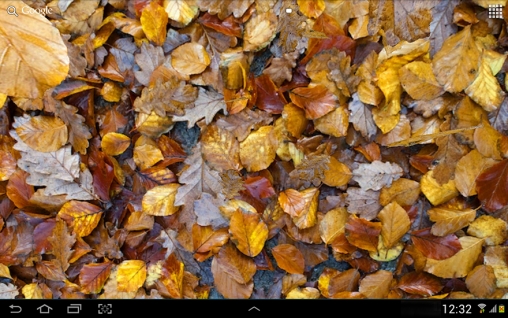Bildschirm screenshot Herbstblätter 3D für Handys und Tablets.