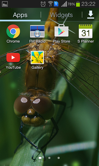 Bildschirm screenshot Libelle für Handys und Tablets.
