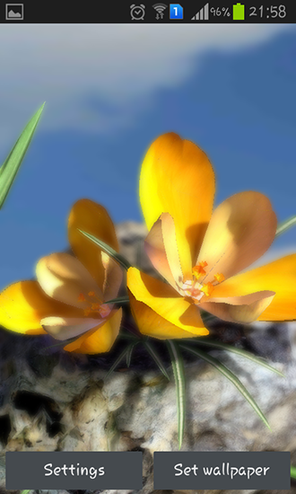 Bildschirm screenshot Lebende Natur: Frühlingsblumen 3D für Handys und Tablets.