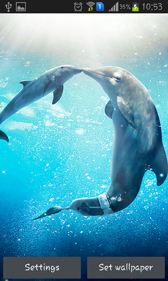 Bildschirm screenshot Delphin im Meer für Handys und Tablets.