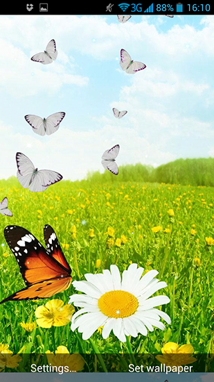 Bildschirm screenshot Schmetterlinge im Frühling für Handys und Tablets.