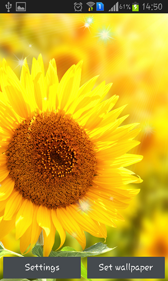 Bildschirm screenshot Sonnenblumen für Handys und Tablets.