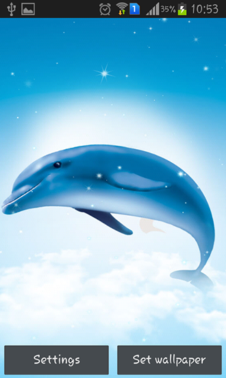 Delphin im Meer