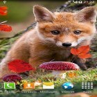 Neben Live Wallpapern für Android Zoo: Hund kannst du die apk des Hintergrunds Herbst  gratis herunterladen.