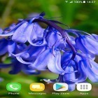 Neben Live Wallpapern für Android Süßer Schmetterling kannst du die apk des Hintergrunds Schöne Frühlingsblumen  gratis herunterladen.