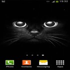 Neben Live Wallpapern für Android Weißer Tiger  kannst du die apk des Hintergrunds Schwarz  gratis herunterladen.