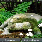 Neben Live Wallpapern für Android Sturmgeräusche  kannst du die apk des Hintergrunds Dinosaurier  gratis herunterladen.