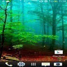 Neben Live Wallpapern für Android Lotus kannst du die apk des Hintergrunds Wald  gratis herunterladen.