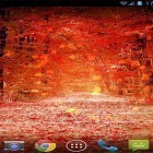 Neben Live Wallpapern für Android Neonblumen kannst du die apk des Hintergrunds Ahornblätter  gratis herunterladen.