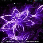 Neben Live Wallpapern für Android Leuchtende Blumen  kannst du die apk des Hintergrunds Neonblumen  gratis herunterladen.