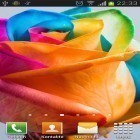 Neben Live Wallpapern für Android Neonblume kannst du die apk des Hintergrunds Regenbogenrosen  gratis herunterladen.