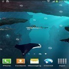 Live Wallpaper Haie  apk auf den Desktop deines Smartphones oder Tablets downloaden.