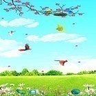 Neben Live Wallpapern für Android Grüner Frühling kannst du die apk des Hintergrunds Vögel im Himmel  gratis herunterladen.
