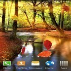 Neben Live Wallpapern für Android Vögel  kannst du die apk des Hintergrunds Herbstwald gratis herunterladen.