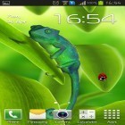 Neben Live Wallpapern für Android Uhren Bildschirm kannst du die apk des Hintergrunds Chamäleon 3D gratis herunterladen.