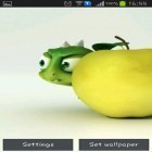 Neben Live Wallpapern für Android Vögel  kannst du die apk des Hintergrunds Niedlicher kleiner Drache gratis herunterladen.