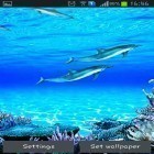 Live Wallpaper Delphin-Geräusche apk auf den Desktop deines Smartphones oder Tablets downloaden.